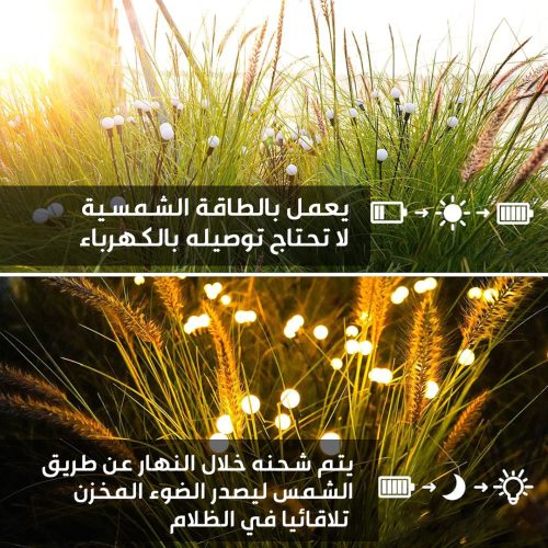 SOLAR-DECORATIVE-LIGHTS-AR-3.jpg